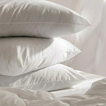 除蟎 / 沙發清潔案例