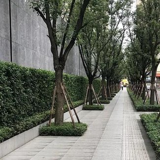 病媒防治範圍004