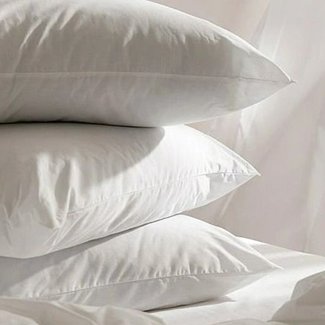 除蟎清潔範圍003